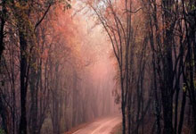 欧预赛首发名单曝光，球员备战充满信心