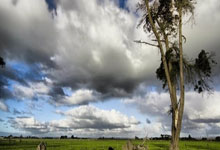 巴黎圣日耳曼主场压倒性胜利