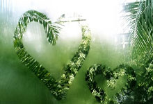 蒙彼利埃客场取分：保级形势乐观