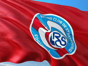 三亿体育体育app下载-帕尔梅拉斯主帅战术布置细致，力争半决赛全胜