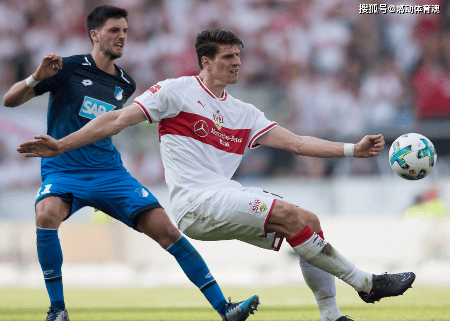 三亿体育体育官网入口-包含霍芬海姆客场不敌斯图加特，遭遇失利的词条