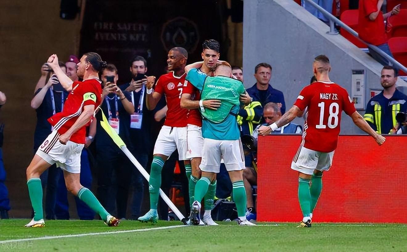 乌克兰队在比赛中胜过匈牙利队
