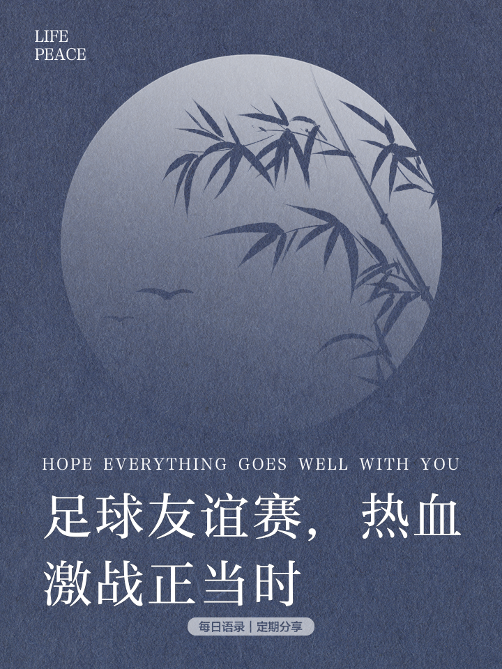 热血澎湃的足球盛事激起无数人的热情的简单介绍